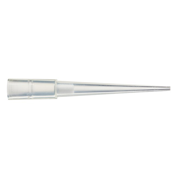 Finntip filter 0.20-20ul 10x384 sterile