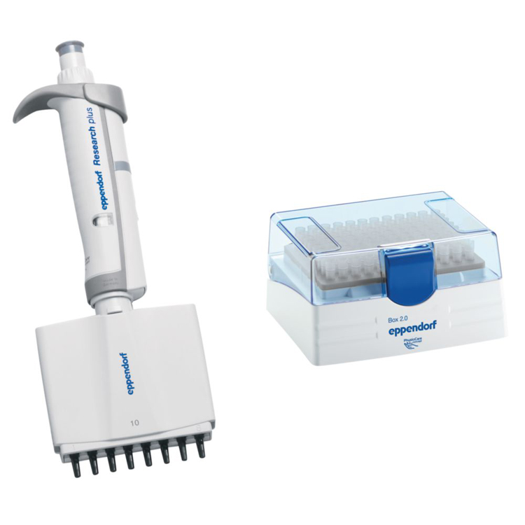 Research plus G, 8-channel, variable, 0,5-10µL, medium grey, incl. epT.I.P.S. Box, Eppendorf