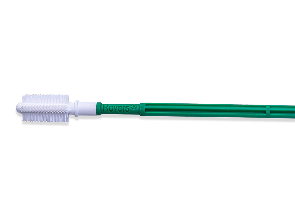 Anex brush without Remover Tube, sterile