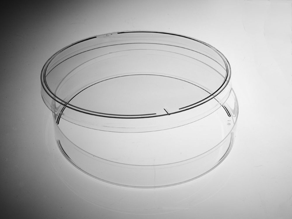 Petri dish diameter 90mm 1 ergot model haut, gamma sterile, Gosselin