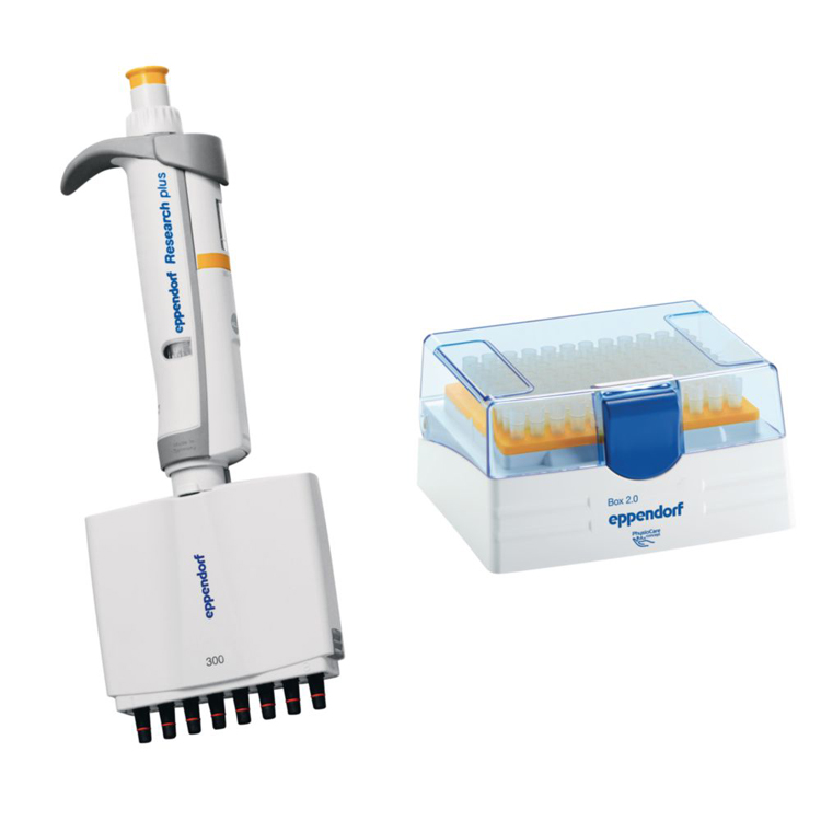 Research plus G, 8-channel, variable, 30-300µL, oranje, incl. epT.I.P.S. Box, Eppendorf