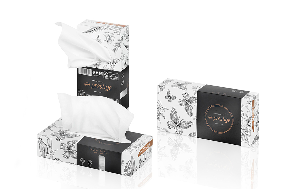 Facial tissue Wepa prestige 2-plis 21x20,5cm blanc boîte/100  economic