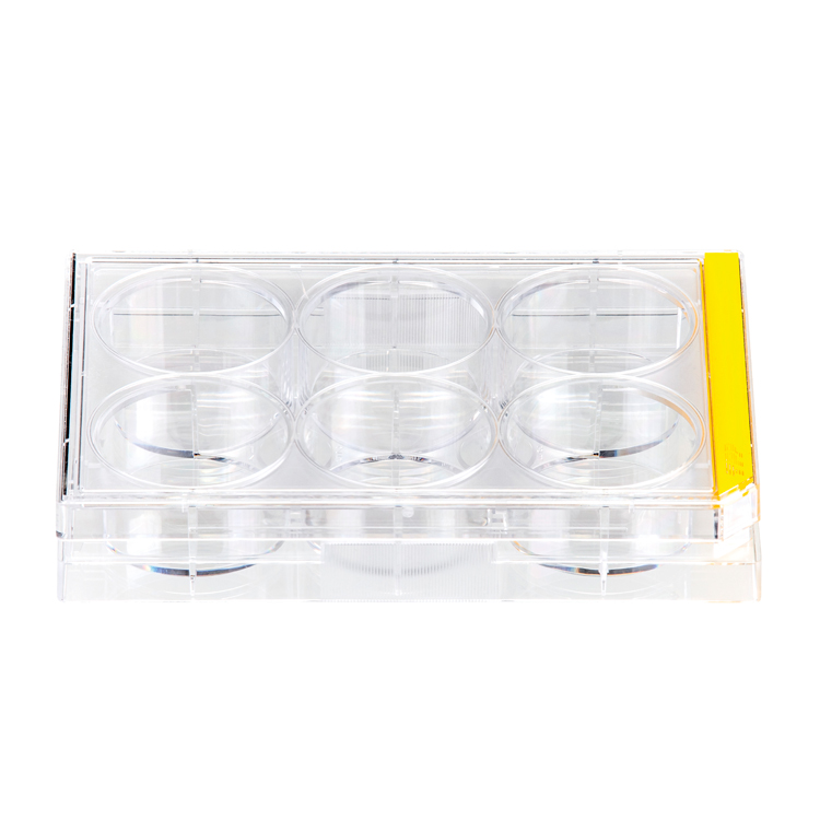 TC plate 6 x 9.03cm,² diameter 33,78mm, single packed sterile, TPP