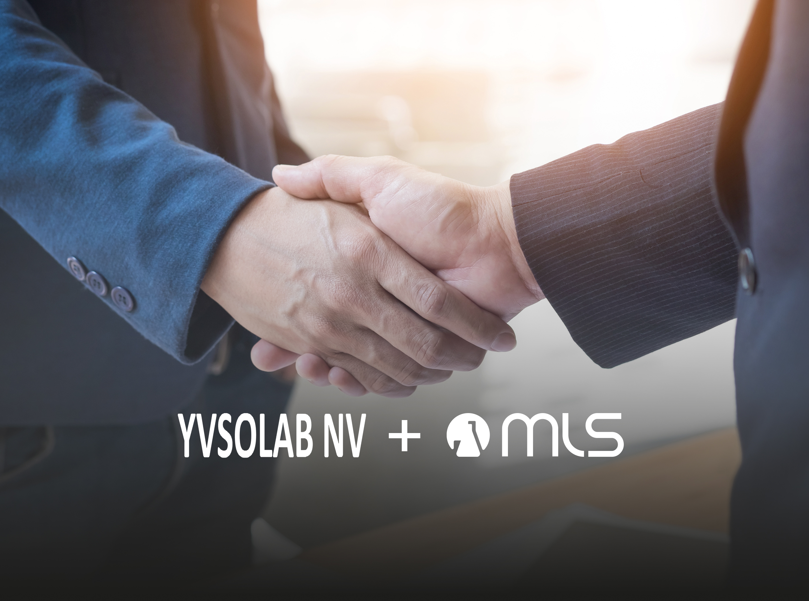 Acquisition of Yvsolab