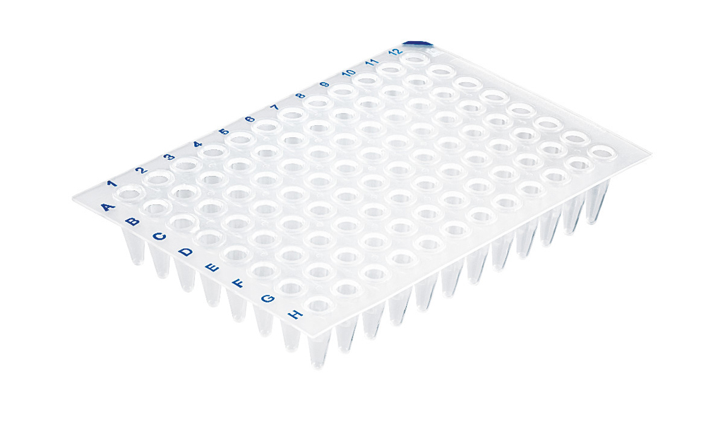 PCR plaque, 96-well, sans jupe, clear, sans DNase-/RNase, Brand