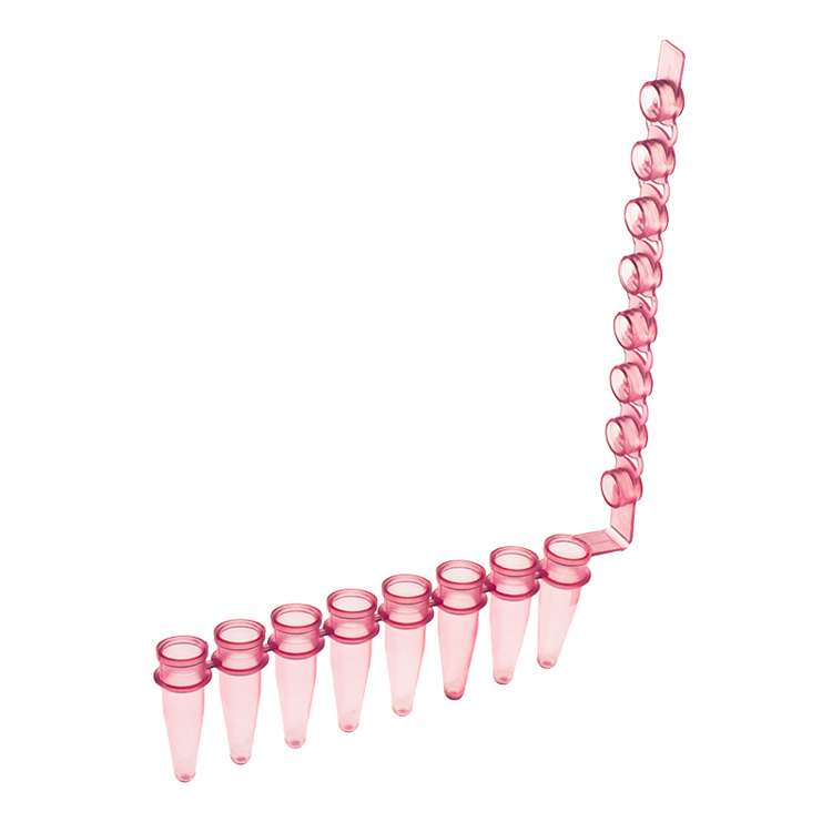 Strip of 8 microtubes 0.2ml with caps pink PCR, Simport