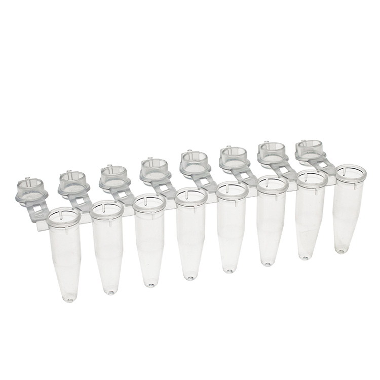 PCR strip of 8 microtubes 0.2ml natural domed cap PCR, Simport