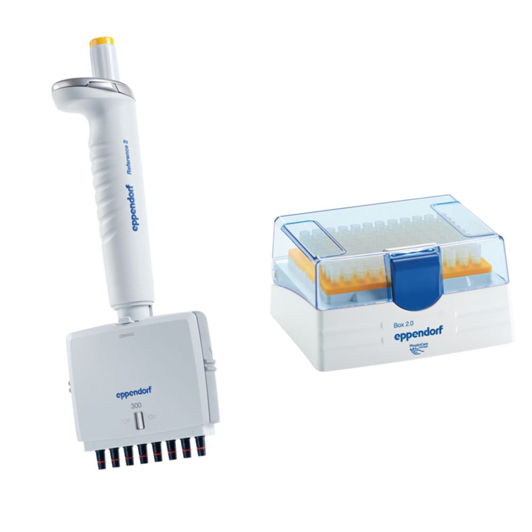 Eppendorf Reference 2 pipet 8-canaux 30-300ul