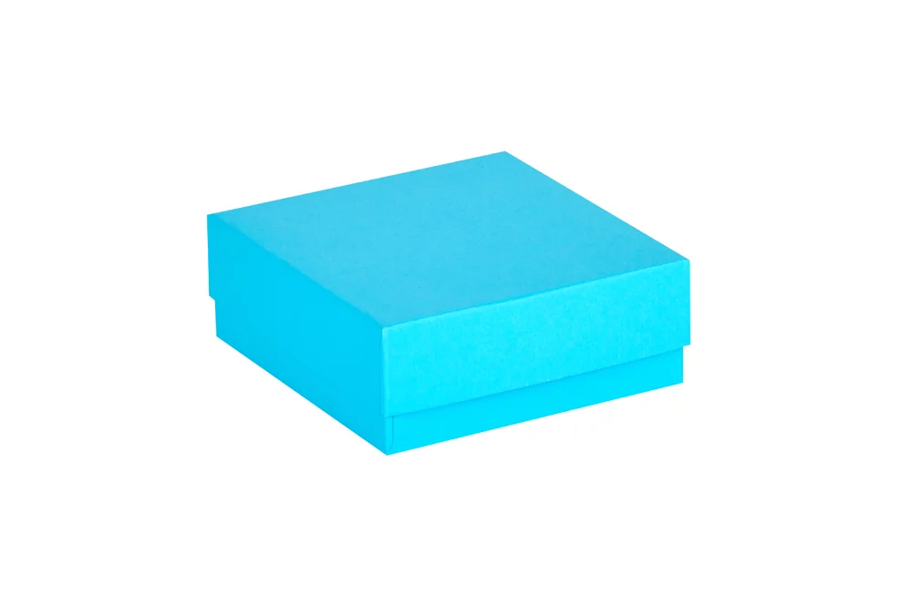 Cryodoos karton 133x133x50mm blauw Ratiolab