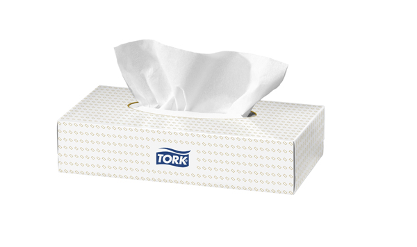 Facial tissue 2-laags 20x21cm wit doos/100 Tork