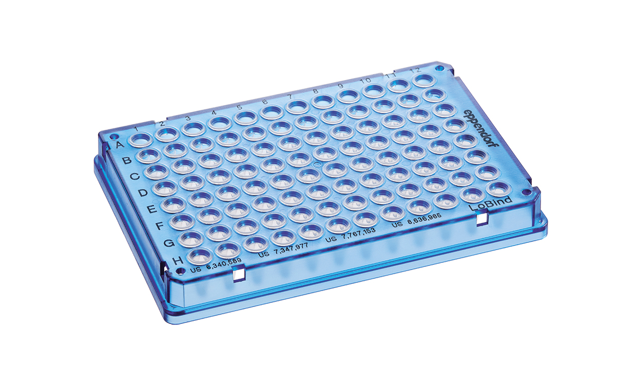 Twin.tec microbiology PCR clean 96 well, Lobind, skirted, blue, Eppendorf