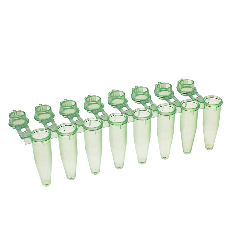 PCR strip de 8 microtubes 0.2ml vert bouchon bombé PCR, Simport