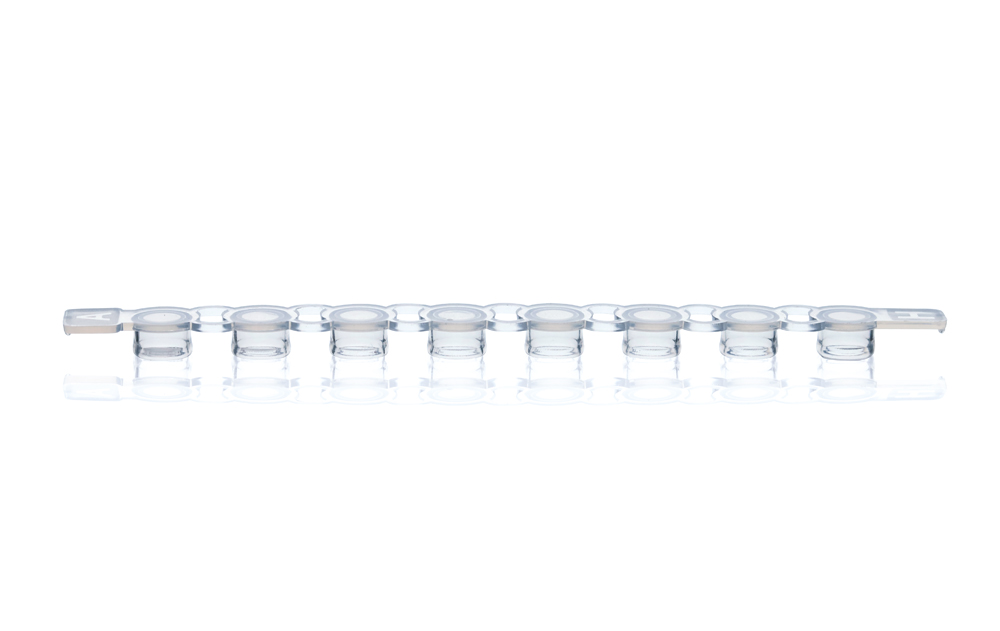 Strip PCR de 8 caps plat, clear, sans Dnase-/Rnase, pour qPCR, Brand