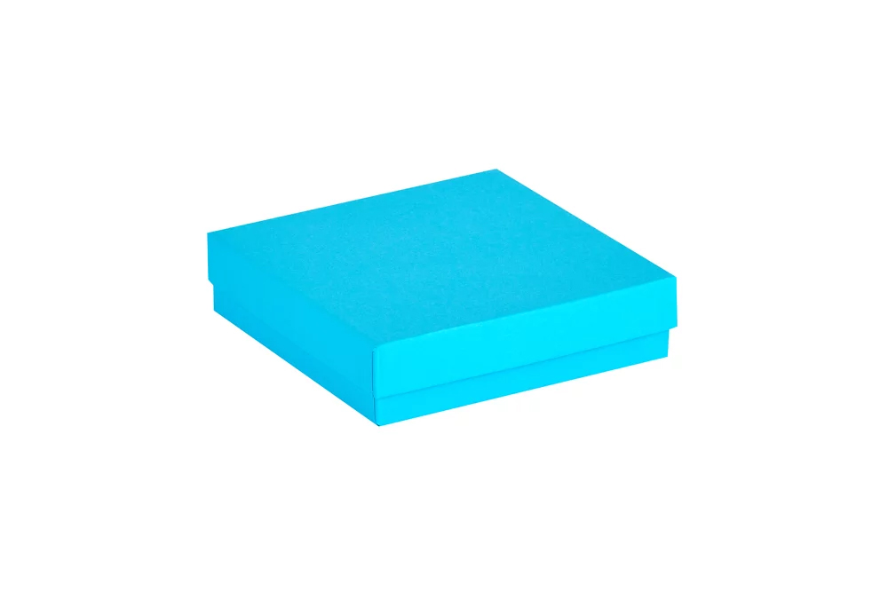 Cryobox cardboard 133x133x32mm blue Ratiolab