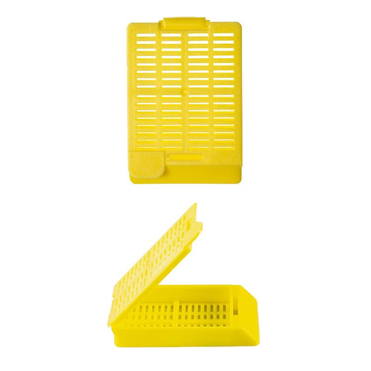 Swingsette embedding cassette 1 compartiment  + cap yellow, Simport