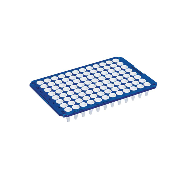 Twin.tec real-T PCR96 non-jupé bleu  low profile Eppendorf