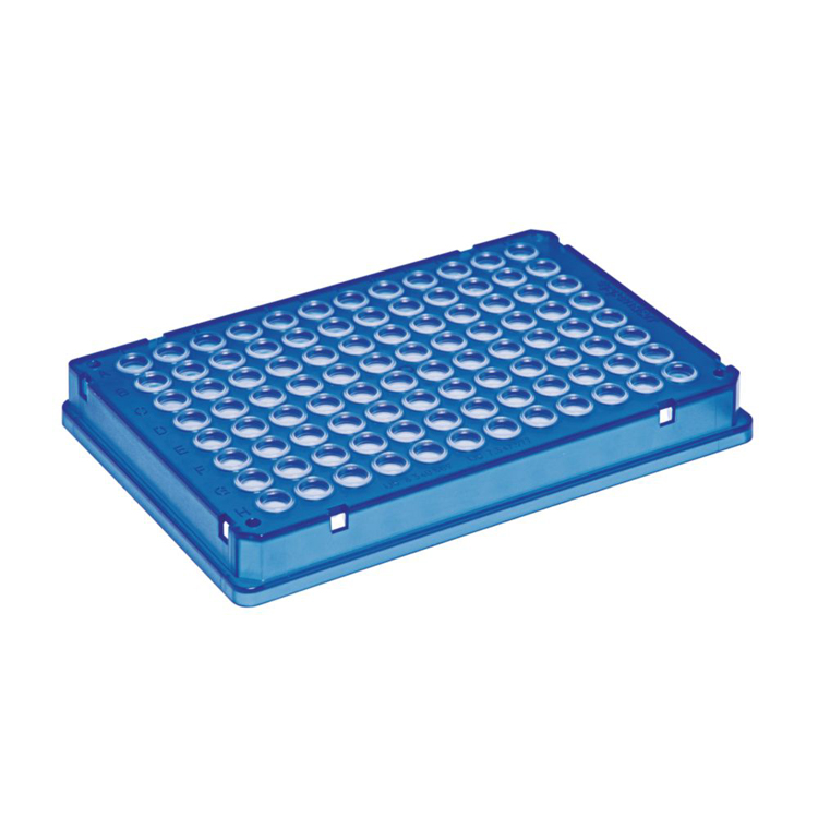 Twin.tec microbiology PCR 96,skirted blauw Eppendorf