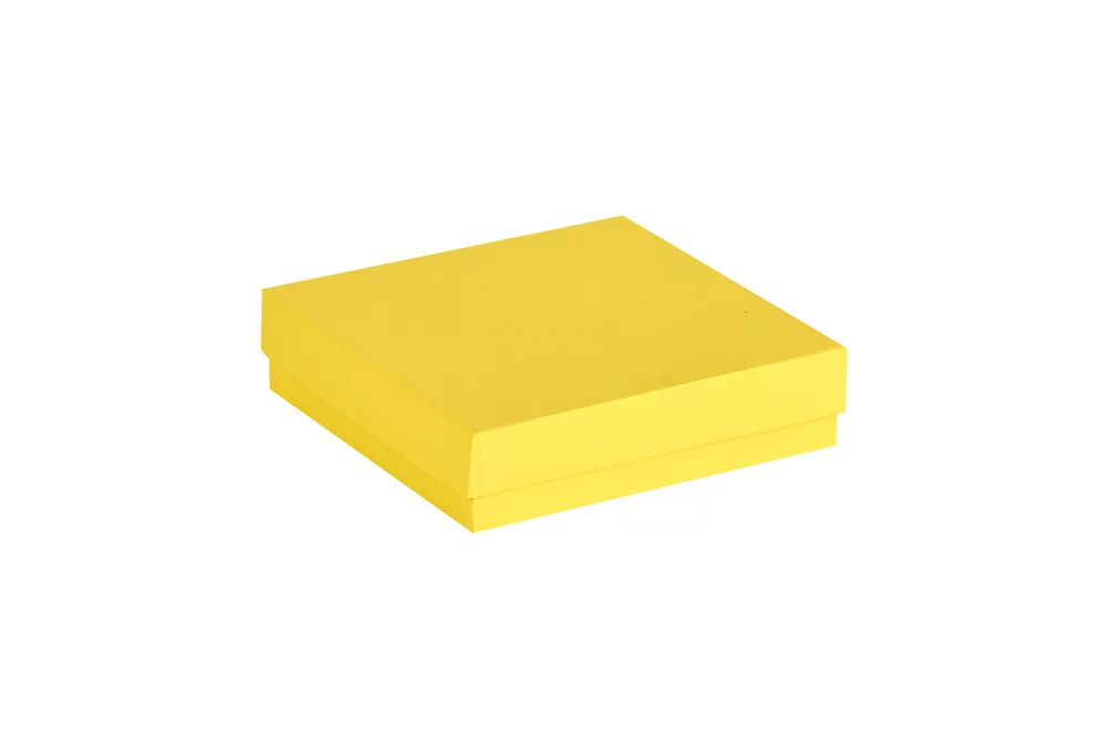 Cryoboîte carton 133x133x32mm jaune Ratiolab