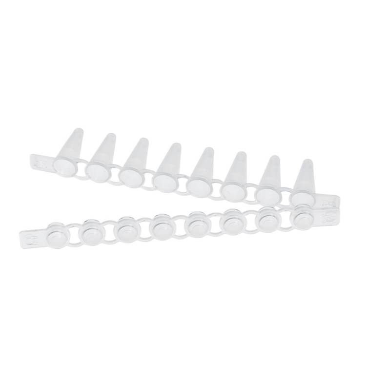 Strip 10x12  tubes PCR 0.1ml and caps domed, Eppendorf