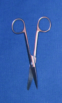 Cissors curved with sharp and rounded end 14cm