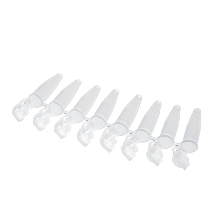 Cup Eppend original 0.2 PCR strip de 10x12, Eppendorf