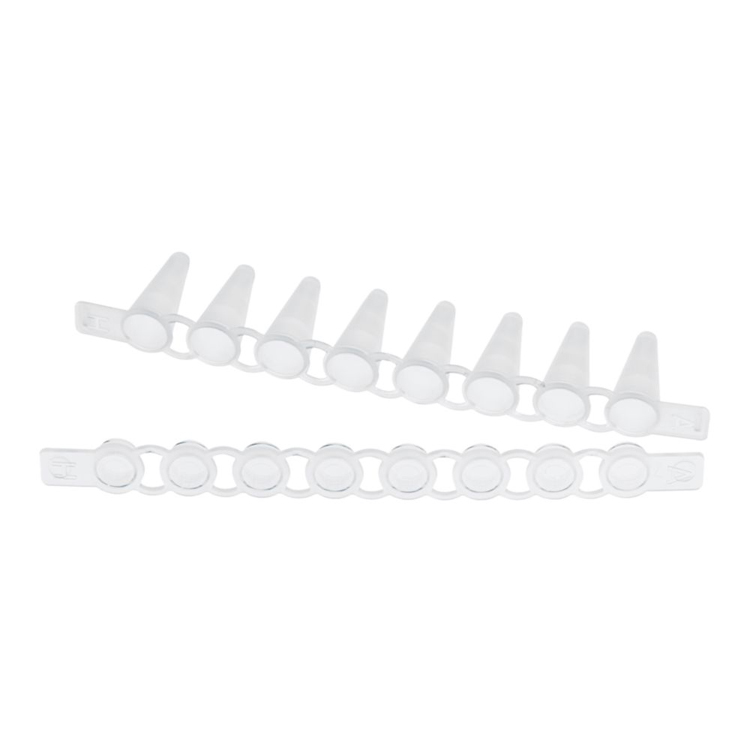 Strip 10x12  tubes PCR 0.1ml+strip and caps plats, Eppendorf