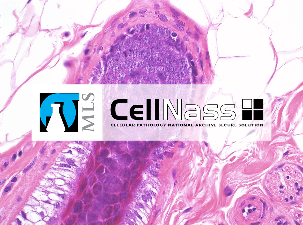 CellNass: the solution for archiving pathological samples